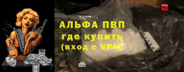 прущие грибы Алзамай