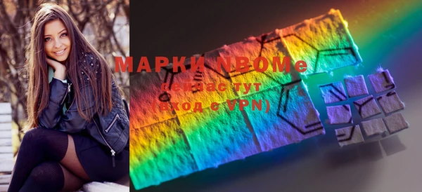 прущие грибы Алзамай