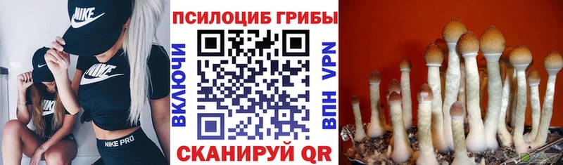 Галлюциногенные грибы мухоморы Ялта