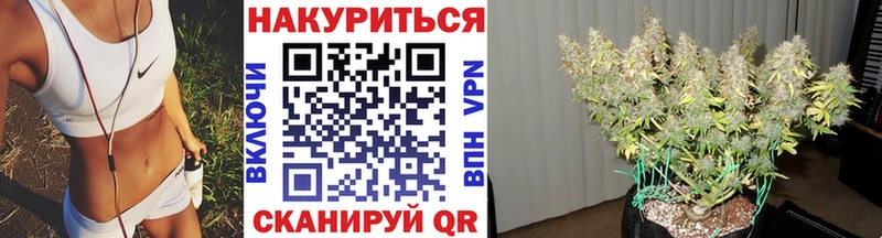 Бошки Шишки план  Купить  Ялта 